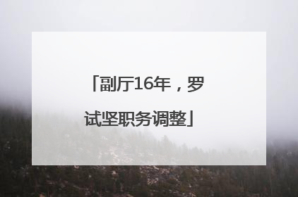副厅16年，罗试坚职务调整