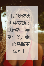 加沙停火再生变数：以色列“接受”美方案、哈马斯不认可