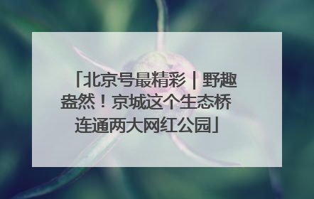 北京号最精彩｜野趣盎然！京城这个生态桥连通两大网红公园