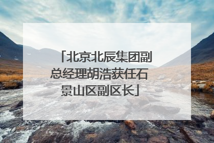 北京北辰集团副总经理胡浩获任石景山区副区长