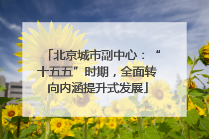 北京城市副中心：“十五五”时期，全面转向内涵提升式发展