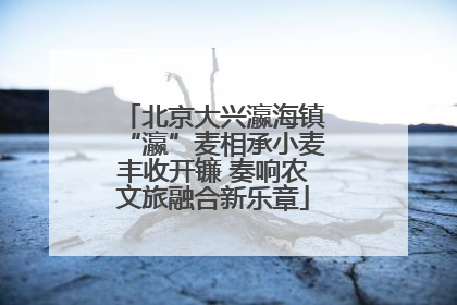 北京大兴瀛海镇“瀛”麦相承小麦丰收开镰 奏响农文旅融合新乐章