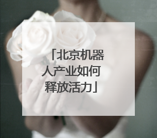 北京机器人产业如何释放活力