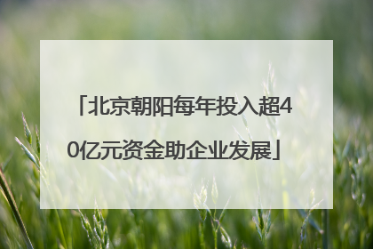 北京朝阳每年投入超40亿元资金助企业发展