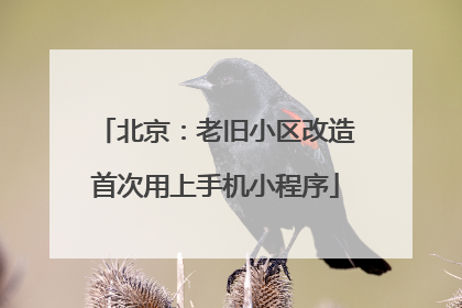 北京：老旧小区改造首次用上手机小程序