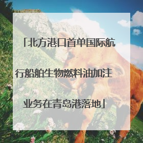 北方港口首单国际航行船舶生物燃料油加注业务在青岛港落地