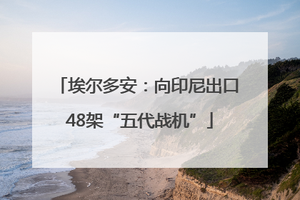 埃尔多安：向印尼出口48架“五代战机”