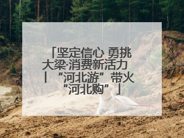坚定信心 勇挑大梁·消费新活力丨“河北游”带火“河北购”