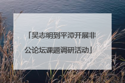 吴志明到平潭开展非公论坛课题调研活动