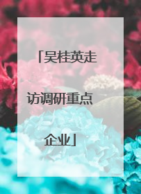 吴桂英走访调研重点企业
