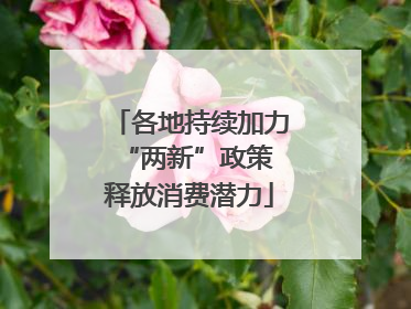 各地持续加力“两新”政策 释放消费潜力