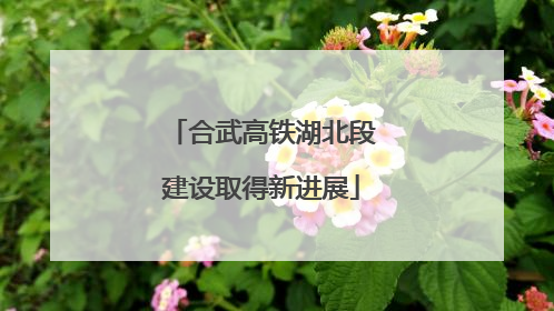 合武高铁湖北段建设取得新进展