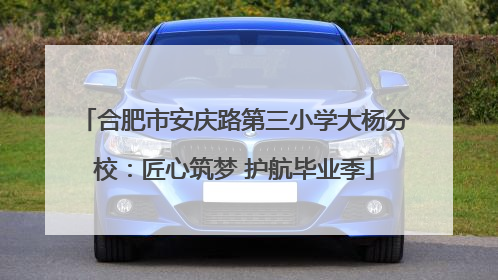合肥市安庆路第三小学大杨分校：匠心筑梦 护航毕业季
