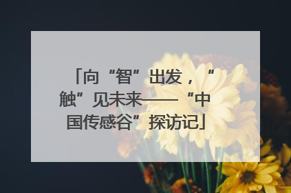 向“智”出发，“触”见未来——“中国传感谷”探访记