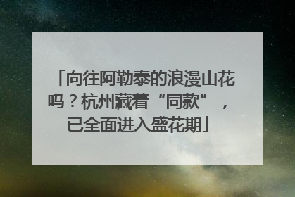 向往阿勒泰的浪漫山花吗？杭州藏着“同款”，已全面进入盛花期