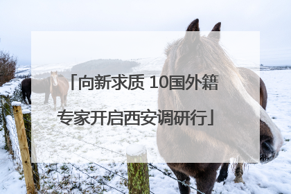 向新求质 10国外籍专家开启西安调研行