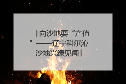 向沙地要“产值”——辽宁科尔沁沙地兴绿见闻