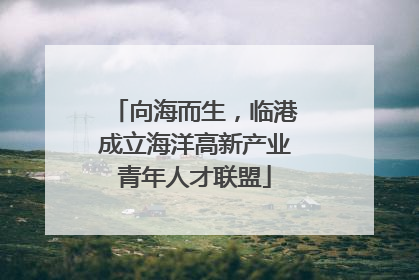 向海而生，临港成立海洋高新产业青年人才联盟
