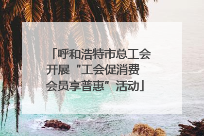 呼和浩特市总工会开展“工会促消费 会员享普惠”活动