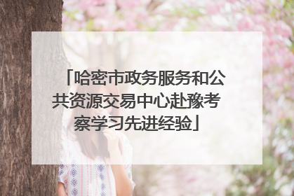 哈密市政务服务和公共资源交易中心赴豫考察学习先进经验