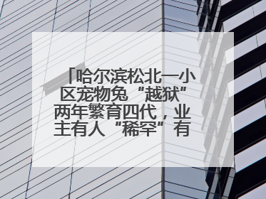 哈尔滨松北一小区宠物兔“越狱”两年繁育四代，业主有人“稀罕”有人忧，专家提醒