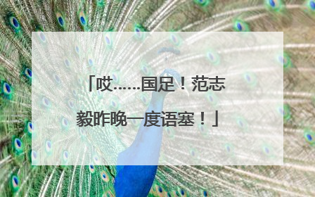 哎……国足！范志毅昨晚一度语塞！