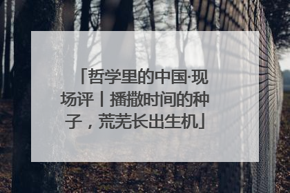 哲学里的中国·现场评丨播撒时间的种子，荒芜长出生机