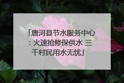 唐河县节水服务中心：火速抢修保供水 三千村民用水无忧