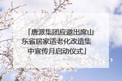 唐派集团应邀出席山东省居家适老化改造集中宣传月启动仪式