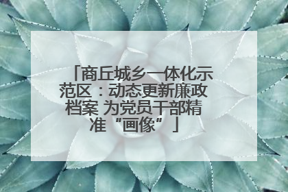 商丘城乡一体化示范区：动态更新廉政档案 为党员干部精准“画像”