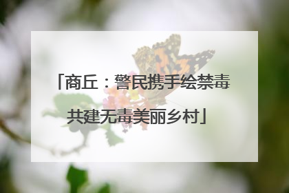 商丘：警民携手绘禁毒 共建无毒美丽乡村
