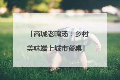 商城老鸭汤：乡村美味端上城市餐桌