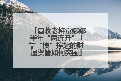 固收老将常娜娜半年“两连升”！靠“债”撑起的财通资管如何突围