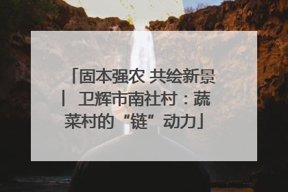 固本强农 共绘新景 ︳卫辉市南社村：蔬菜村的“链”动力