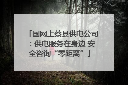 国网上蔡县供电公司：供电服务在身边 安全咨询“零距离”