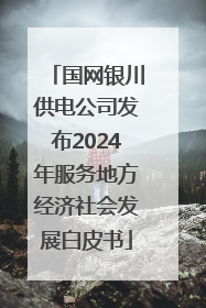 国网银川供电公司发布2024年服务地方经济社会发展白皮书