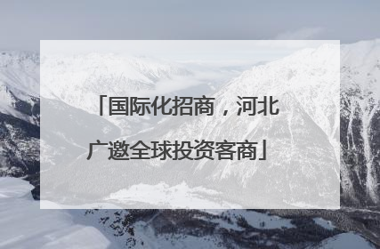 国际化招商，河北广邀全球投资客商