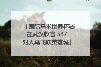 国际马术世界杯赛在武汉收官 547对人马飞跃英雄城