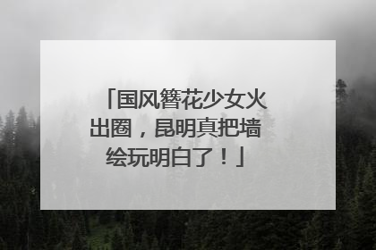 国风簪花少女火出圈，昆明真把墙绘玩明白了！