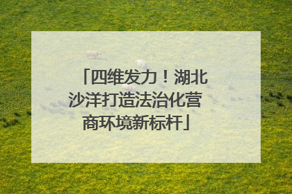 四维发力！湖北沙洋打造法治化营商环境新标杆