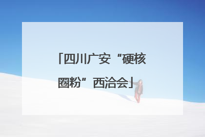 四川广安“硬核圈粉”西洽会