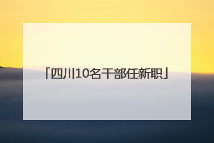 四川10名干部任新职