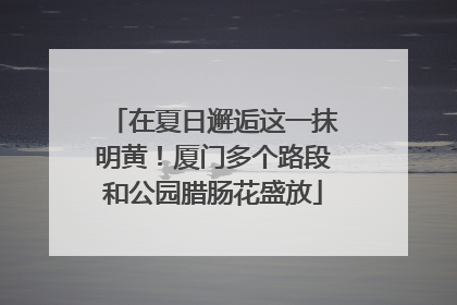 在夏日邂逅这一抹明黄！厦门多个路段和公园腊肠花盛放