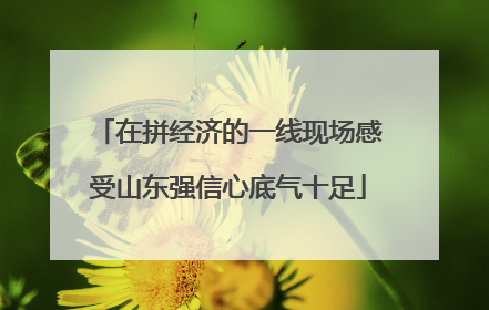 在拼经济的一线现场感受山东强信心底气十足