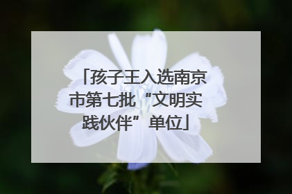 孩子王入选南京市第七批“文明实践伙伴”单位