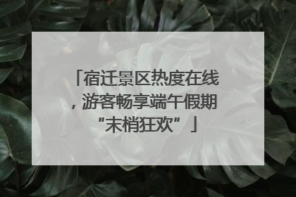 宿迁景区热度在线，游客畅享端午假期“末梢狂欢”