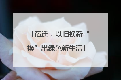 宿迁：以旧换新“换”出绿色新生活