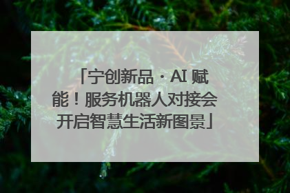 宁创新品・AI 赋能！服务机器人对接会开启智慧生活新图景