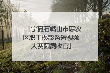 宁夏石嘴山市惠农区职工摄影暨短视频大赛圆满收官