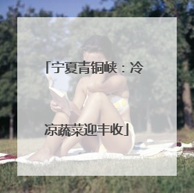 宁夏青铜峡：冷凉蔬菜迎丰收